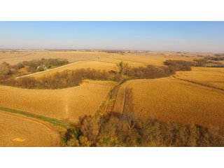 Property photo 6 - LAND AUCTION - 664+/- ACRES OFFERED IN 17 TRACTS IN CASS CO., NEBRASKA